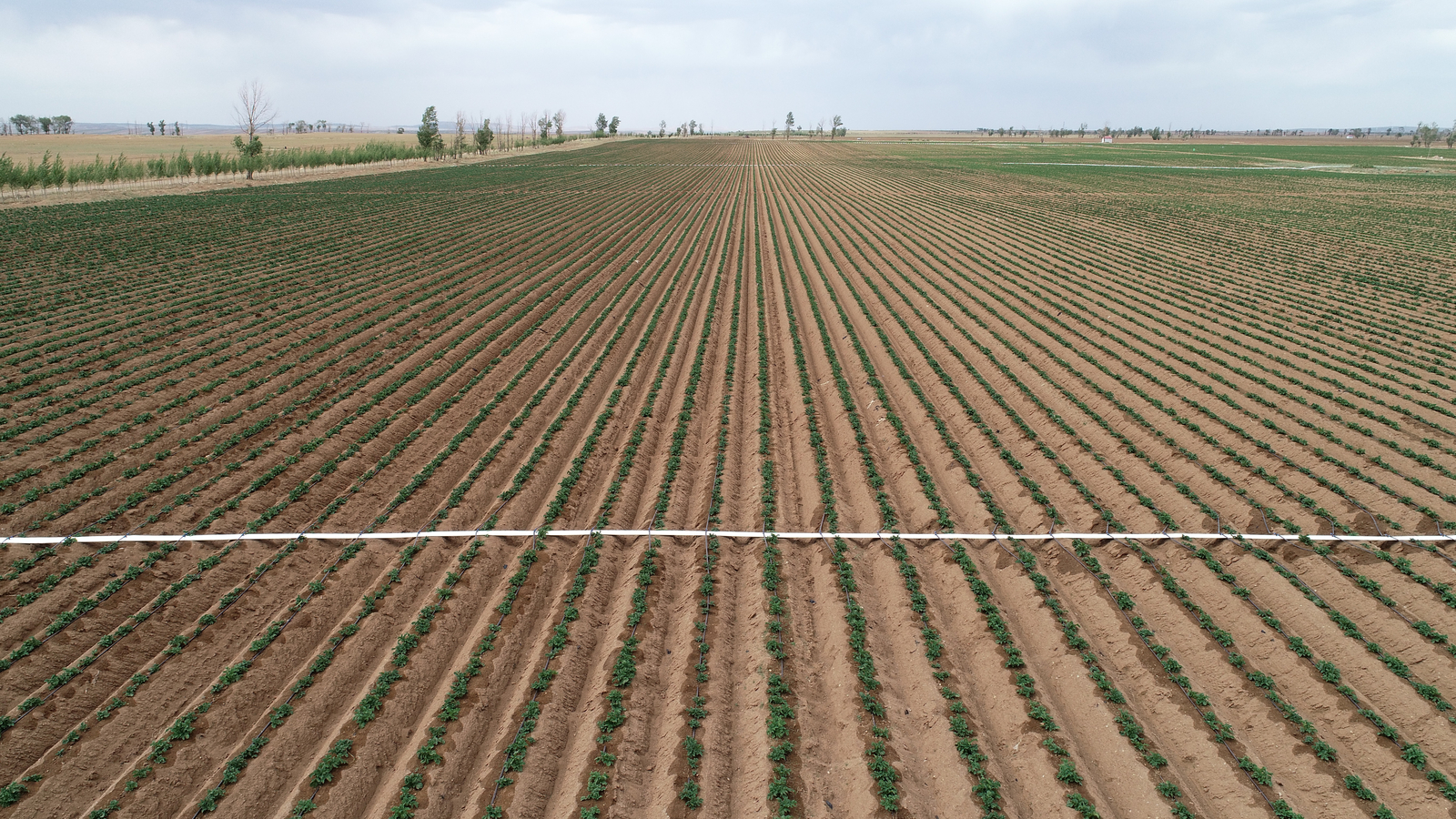 Precision Irrigation: Power to the Farmer