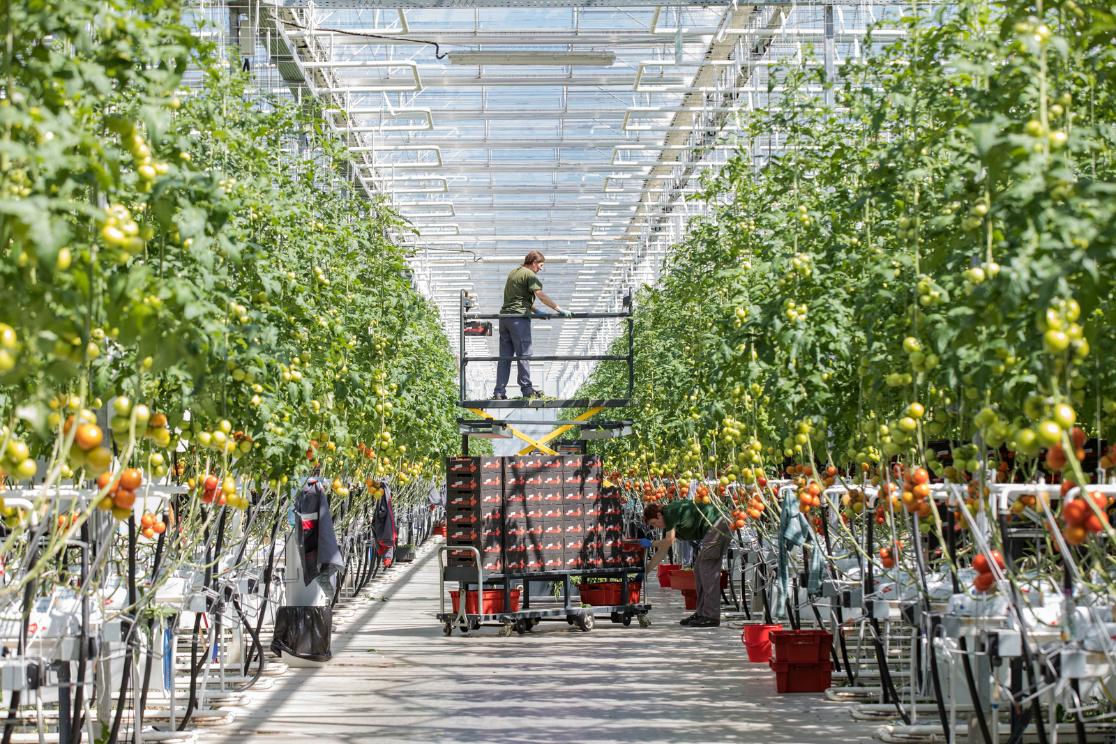 Netafim Product Offering Our Catalogue Netafim