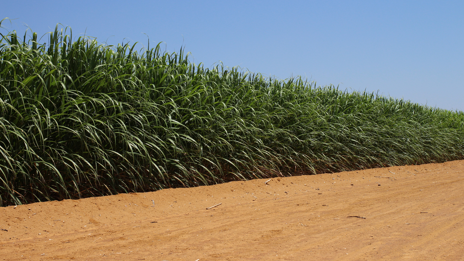 Precision irrigation for field crops &amp; vegetables farms