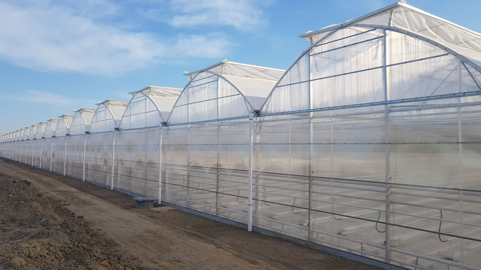 greenhouse for medical cannabis growing with roof ventilation and light structure by Netafim greenhouse projects. Especially fit for warmer climates where a polyhouse is preferred over a glass house