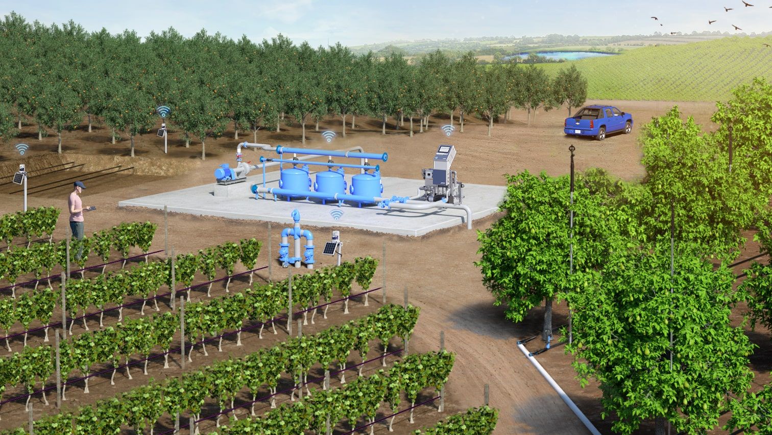 Orchard Irrigation Design Orchard Irrigation