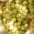 Table grapes