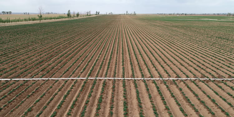Precision Irrigation: Power to the Farmer