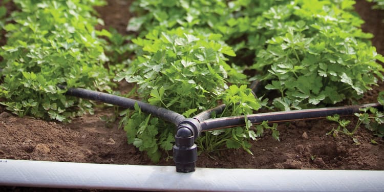 Products and solutions for precision irrigation