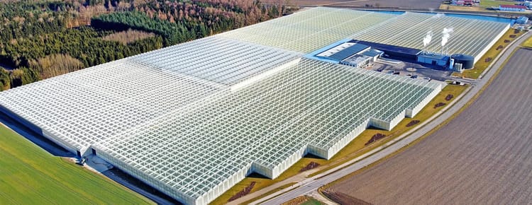 Greenhouse Structures