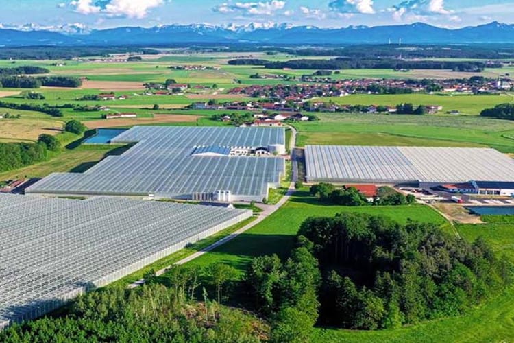 Steiner Greenhouse