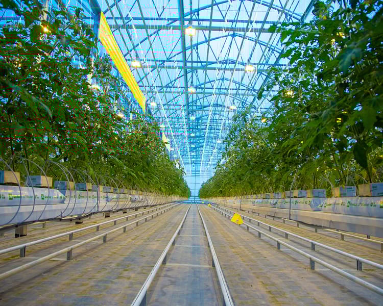 Greenhouse