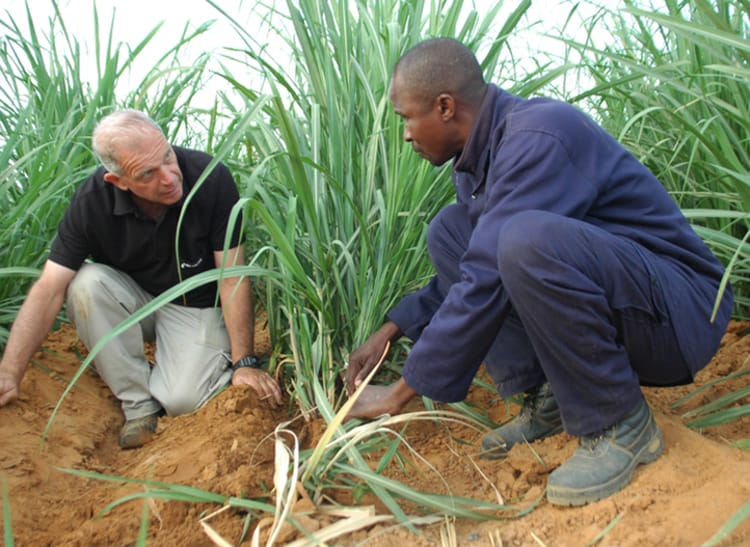 Worker and Netafim agronomist in field in Senegal