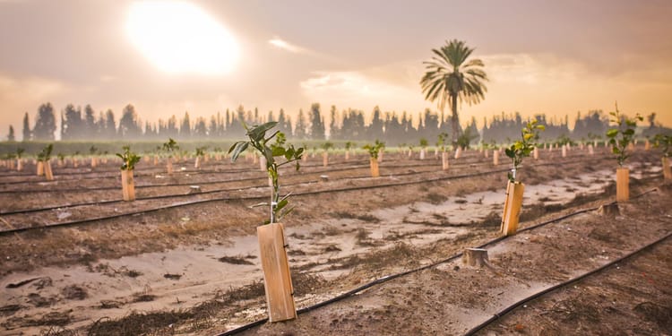 Irrigation as a Service
