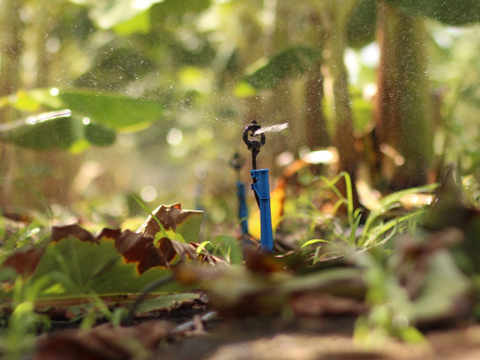 MICRO SPRINKLERS