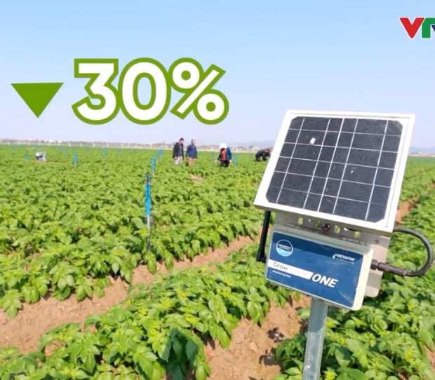 PepsiCo & Netafim Featured on VTV24: Potato Farming with 30% Less Water