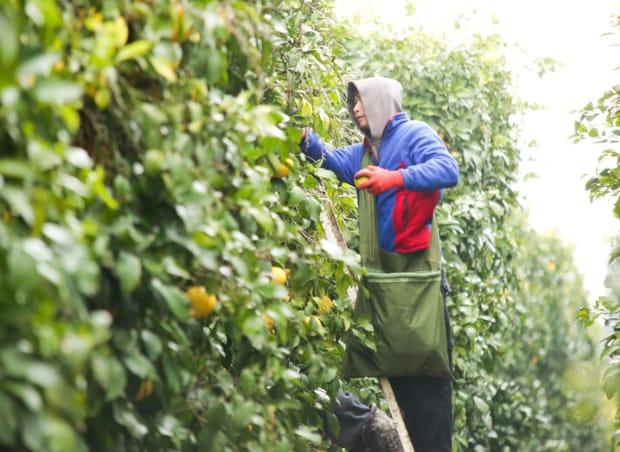 How AI is Shaping a More Predictable, Investable Industry | AI Journal