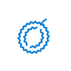 Drip Irrigation and Fertigation Protocol for Durian