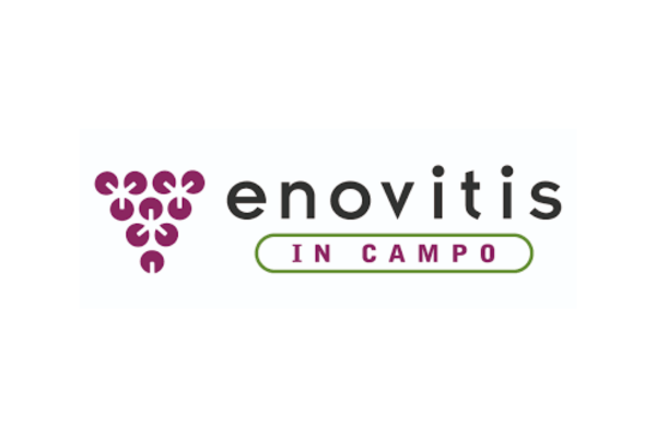 Enovitis