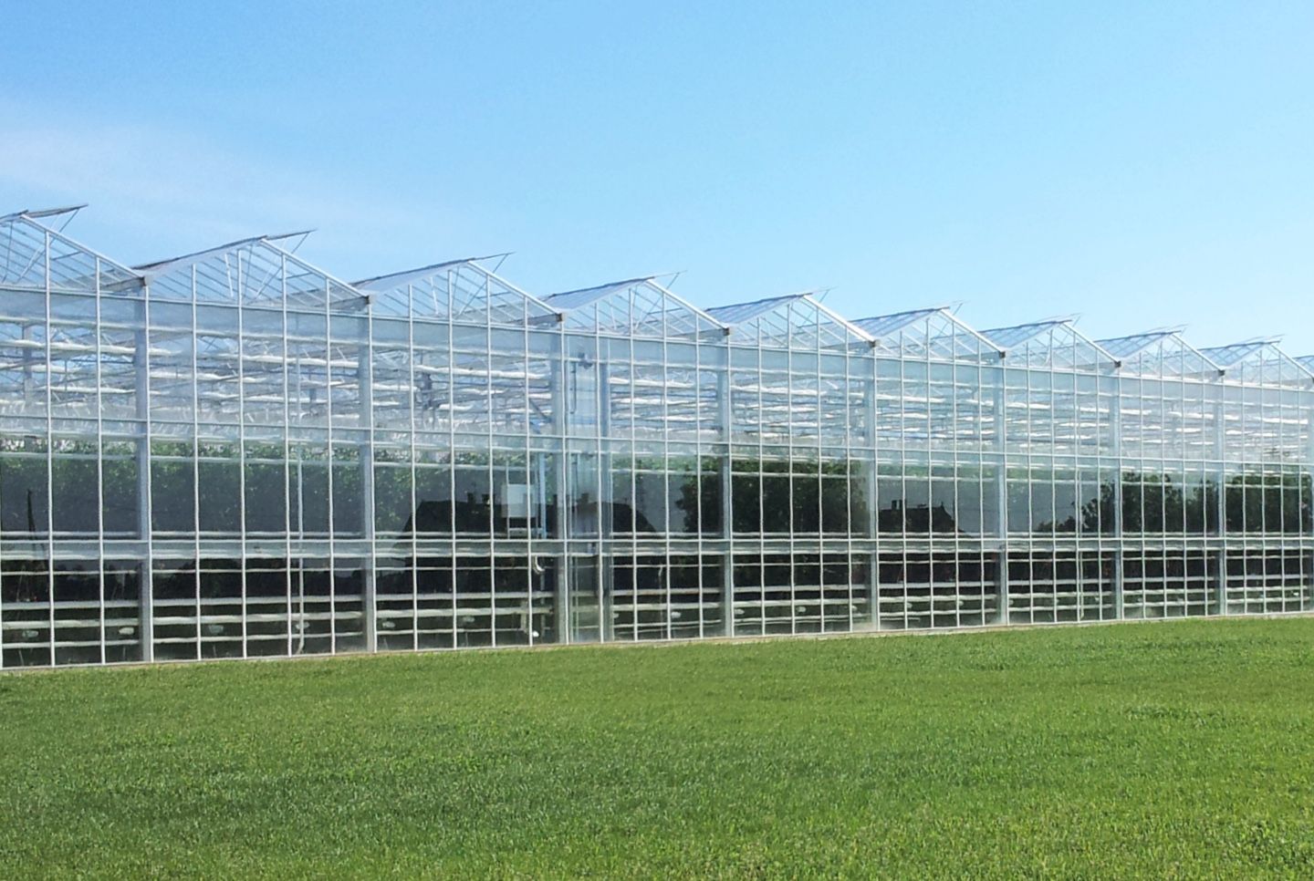 GREENHOUSE PROJECTS