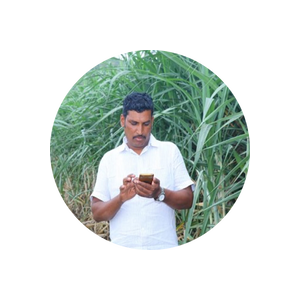 Farmer looking at mobile screen