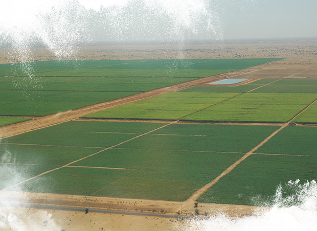 Large irrigation projects