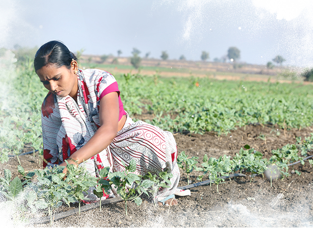 Community irrigation