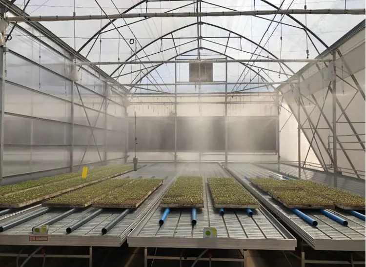 greenhouse technology - Cooling systems for greenhouses