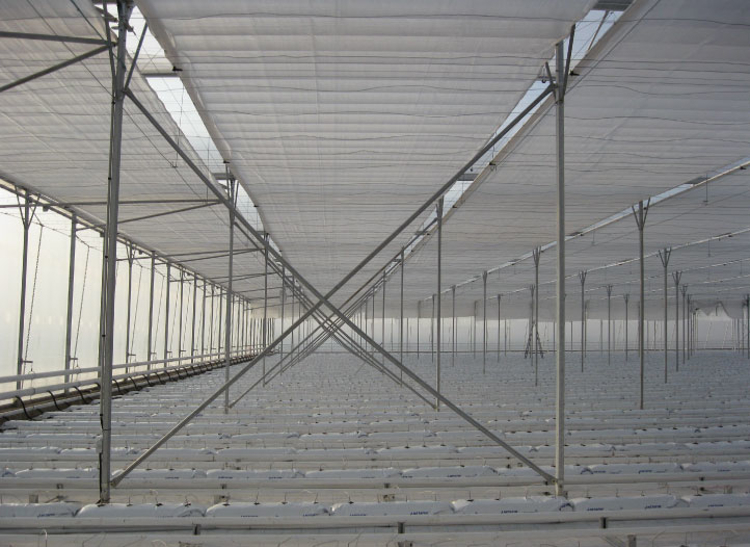 Screen systems in greenhouse (greenhouse technology)