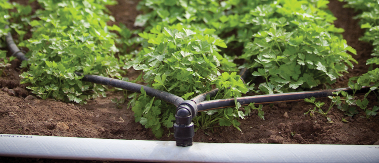 Products and solutions for precision irrigation